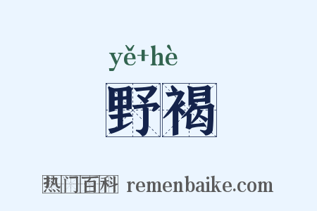 野褐是什么意思的图片